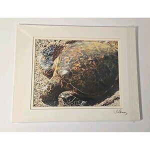 Sea Turtle photo  Signed by Susan Benay Matted Photo Laser Art Hawaii  14"x11"